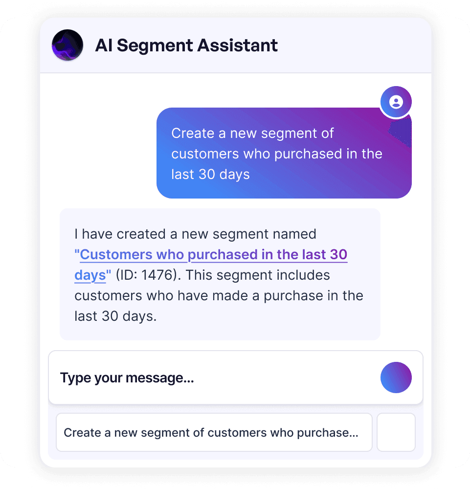 ai segmentation